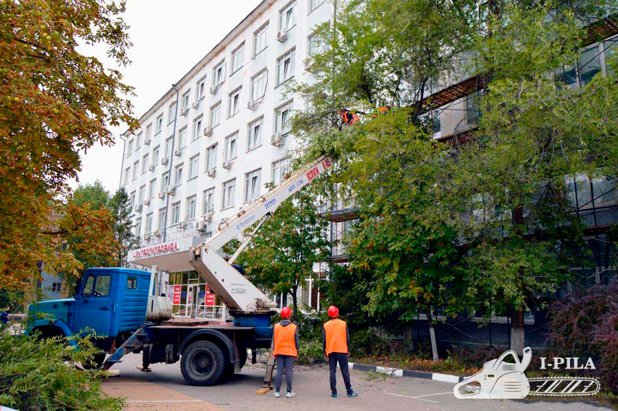Приклад 10